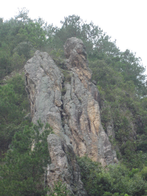 IMG_4443.jpg