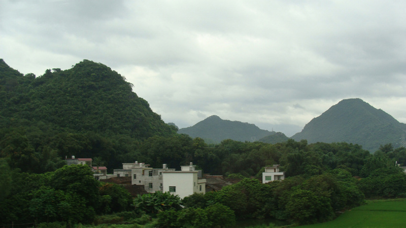 DSC06607.JPG
