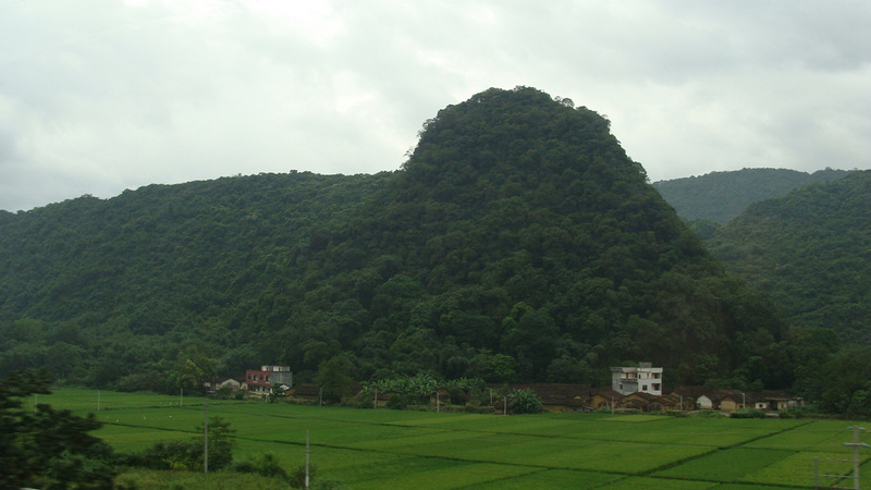 DSC06608.JPG