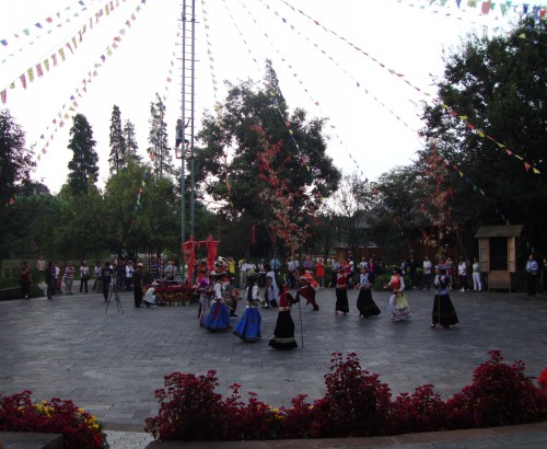 DSC01626_conew1.jpg