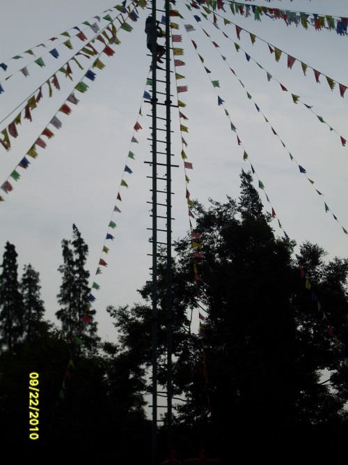 SDC15099_conew1.jpg
