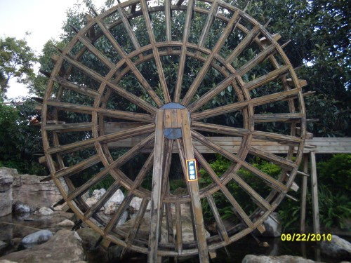 SDC15077_conew1.jpg