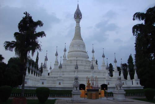 DSC01636_conew1.jpg