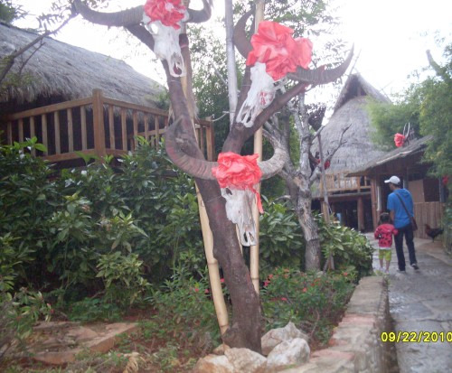 SDC15101_conew1.jpg