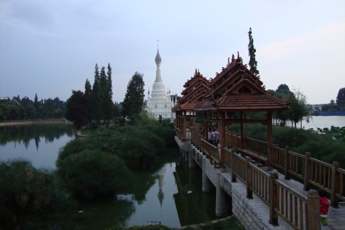 DSC01629_conew1.jpg