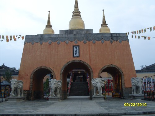 SDC15131_conew1.jpg