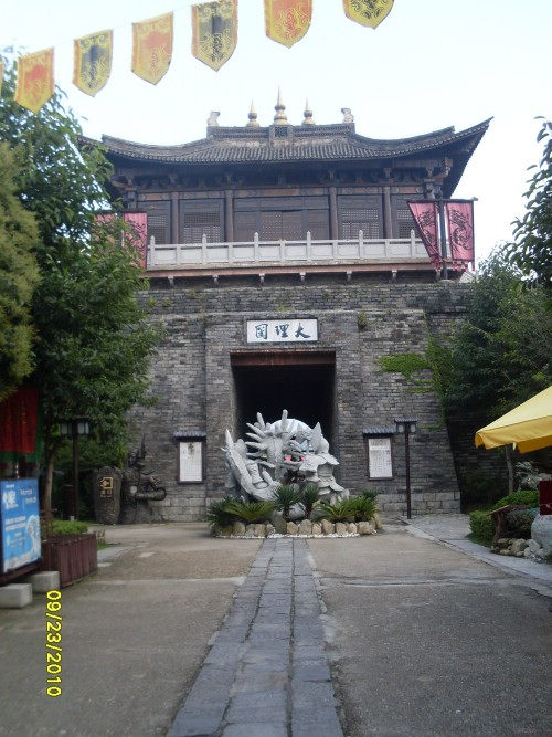 SDC15178_conew1.jpg