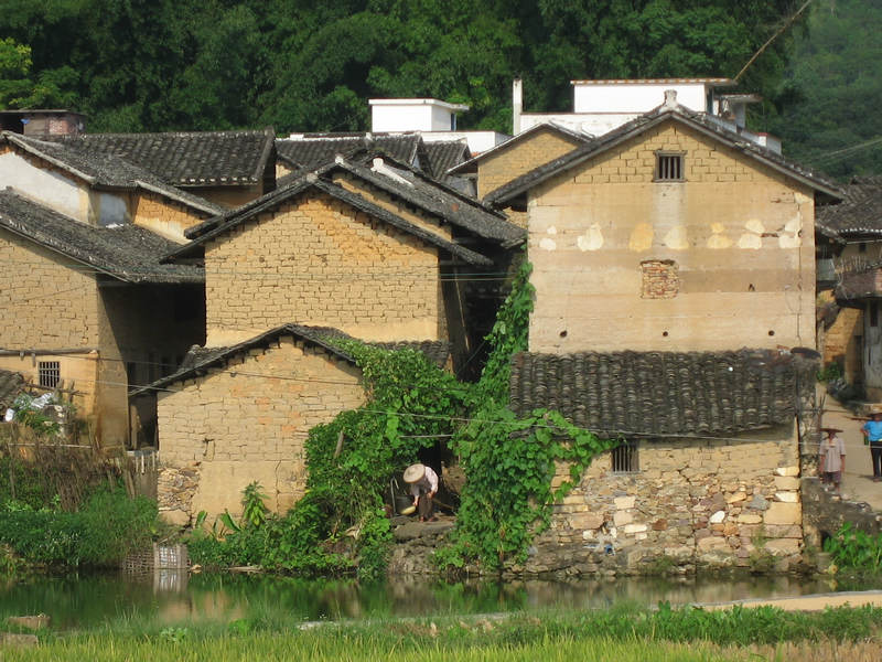 IMG_6495.jpg