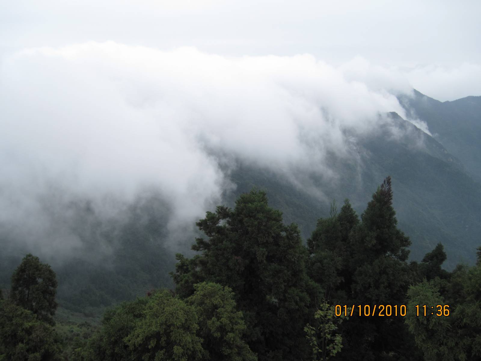 Picture 121.jpg