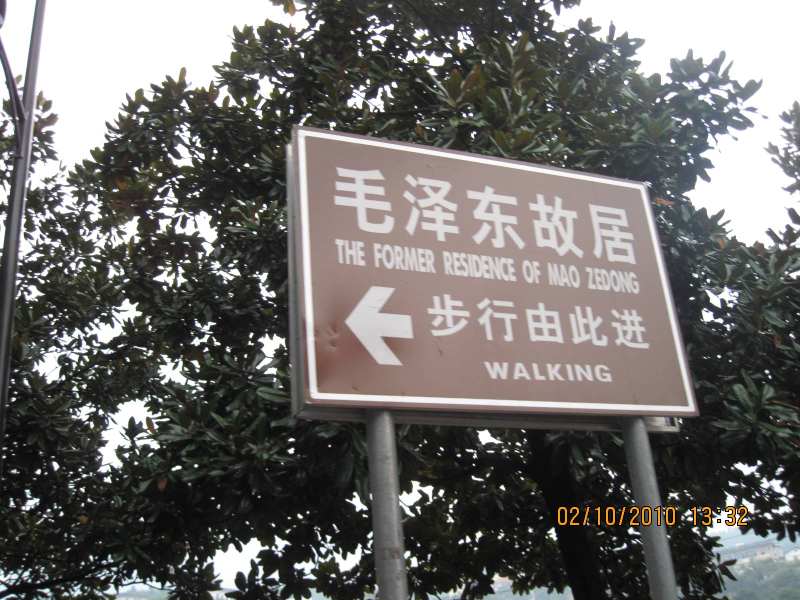 Picture 265.jpg