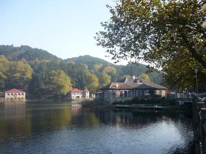 P1050613.jpg