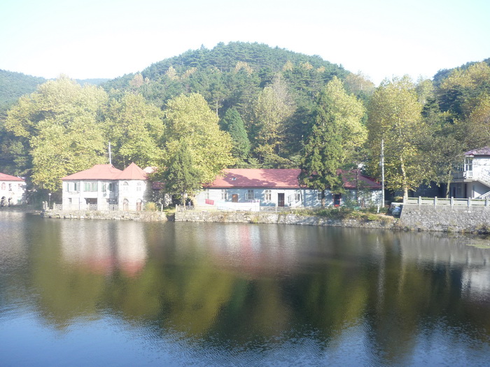 P1050603.jpg