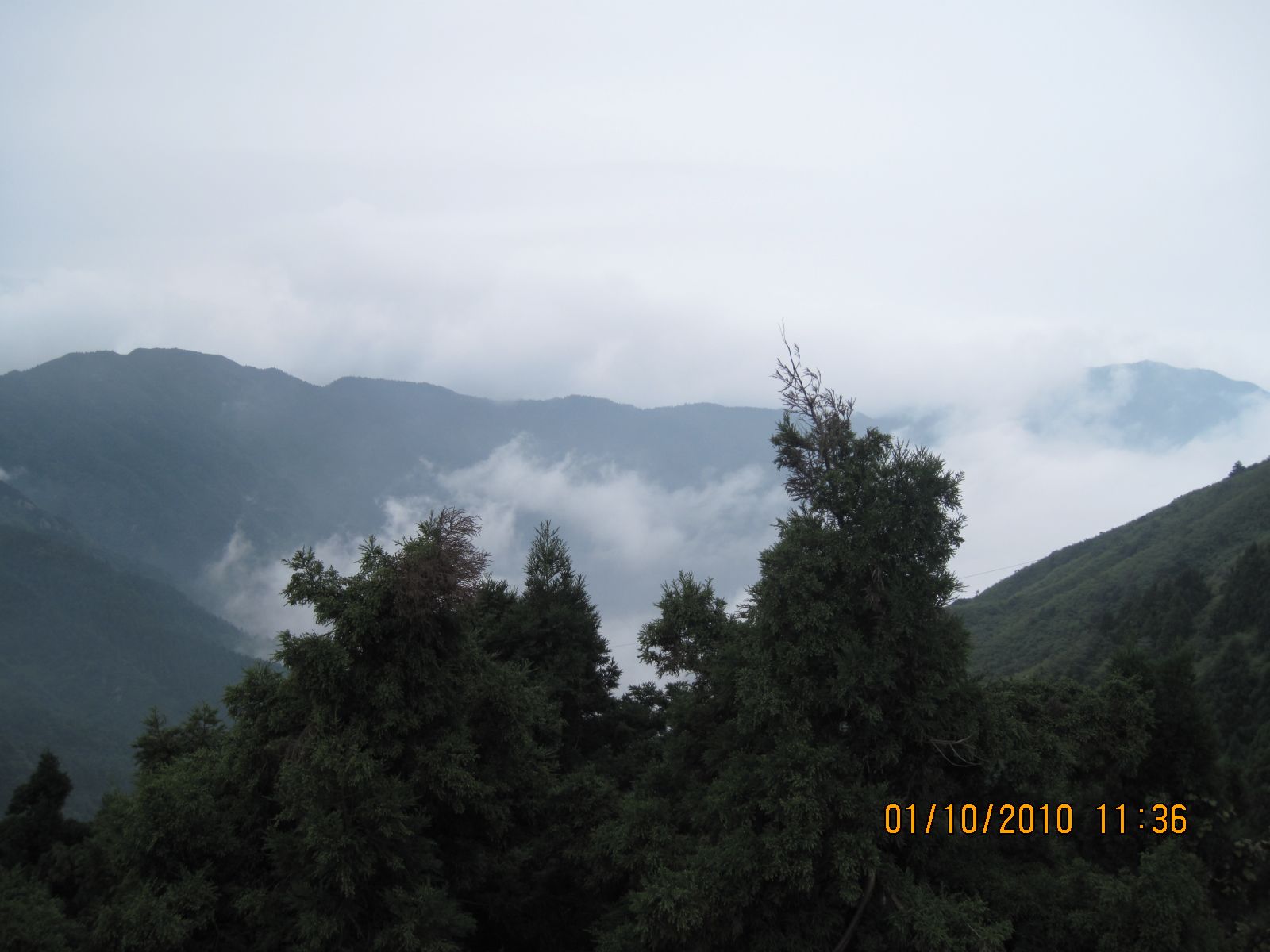 Picture 122.jpg