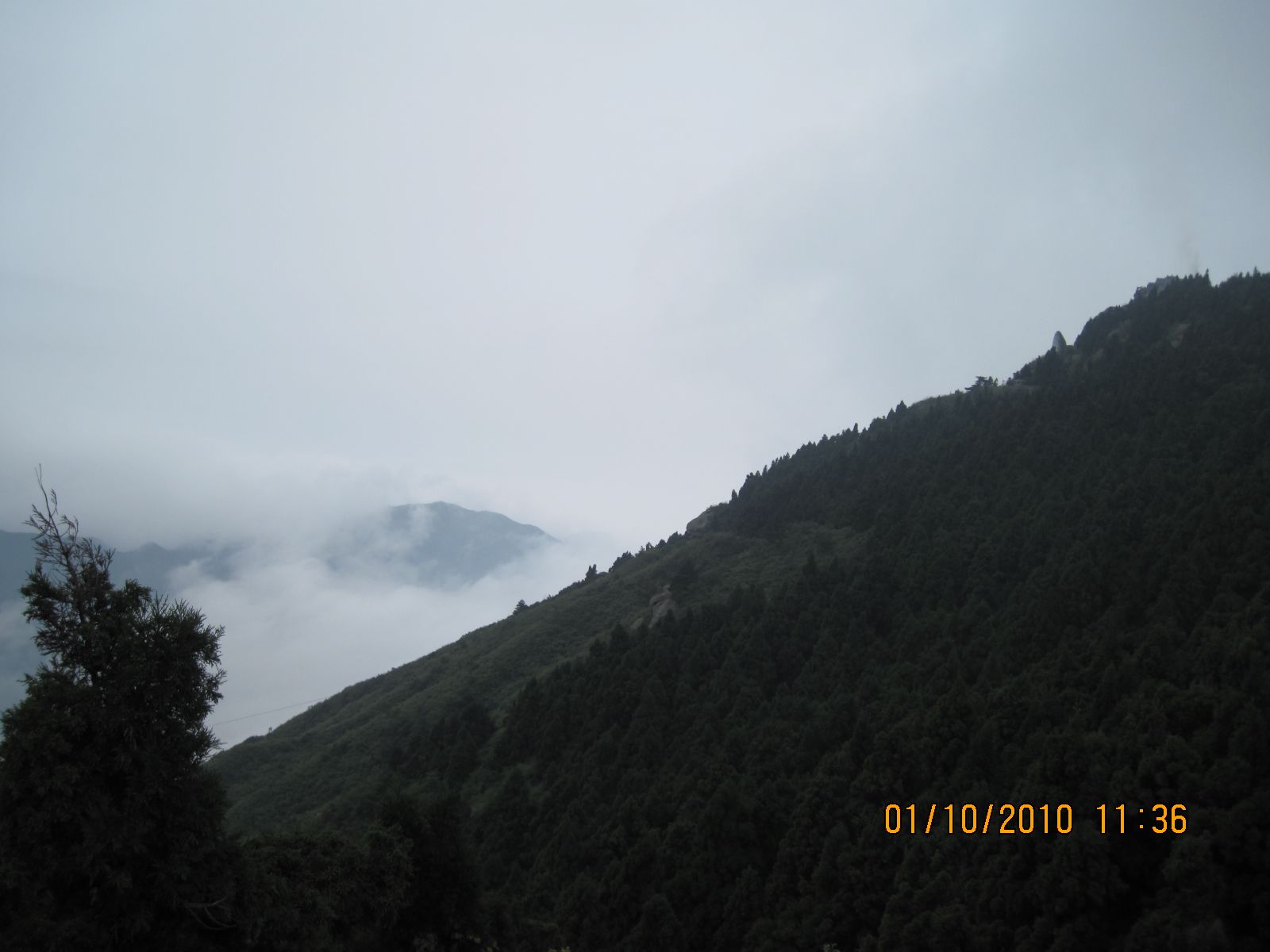 Picture 123.jpg