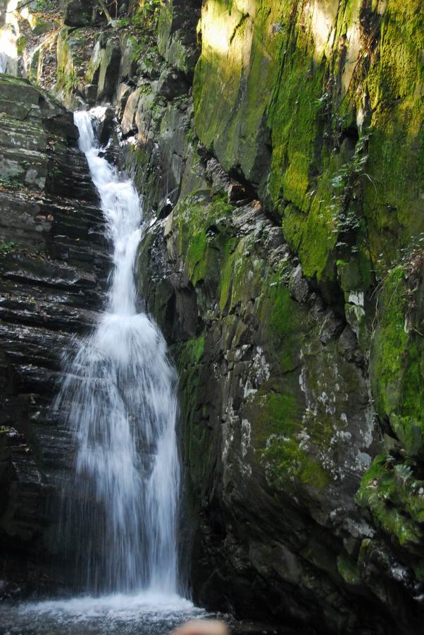 20101031_0470.jpg