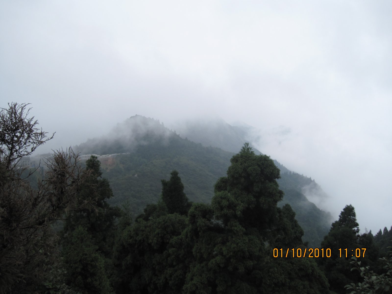 Picture 086.jpg