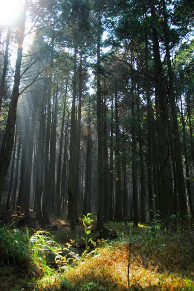 20101030_241.jpg