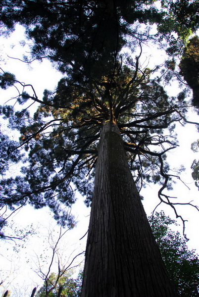20101031_033.jpg