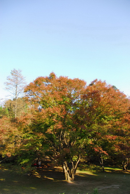 20101030_363.jpg