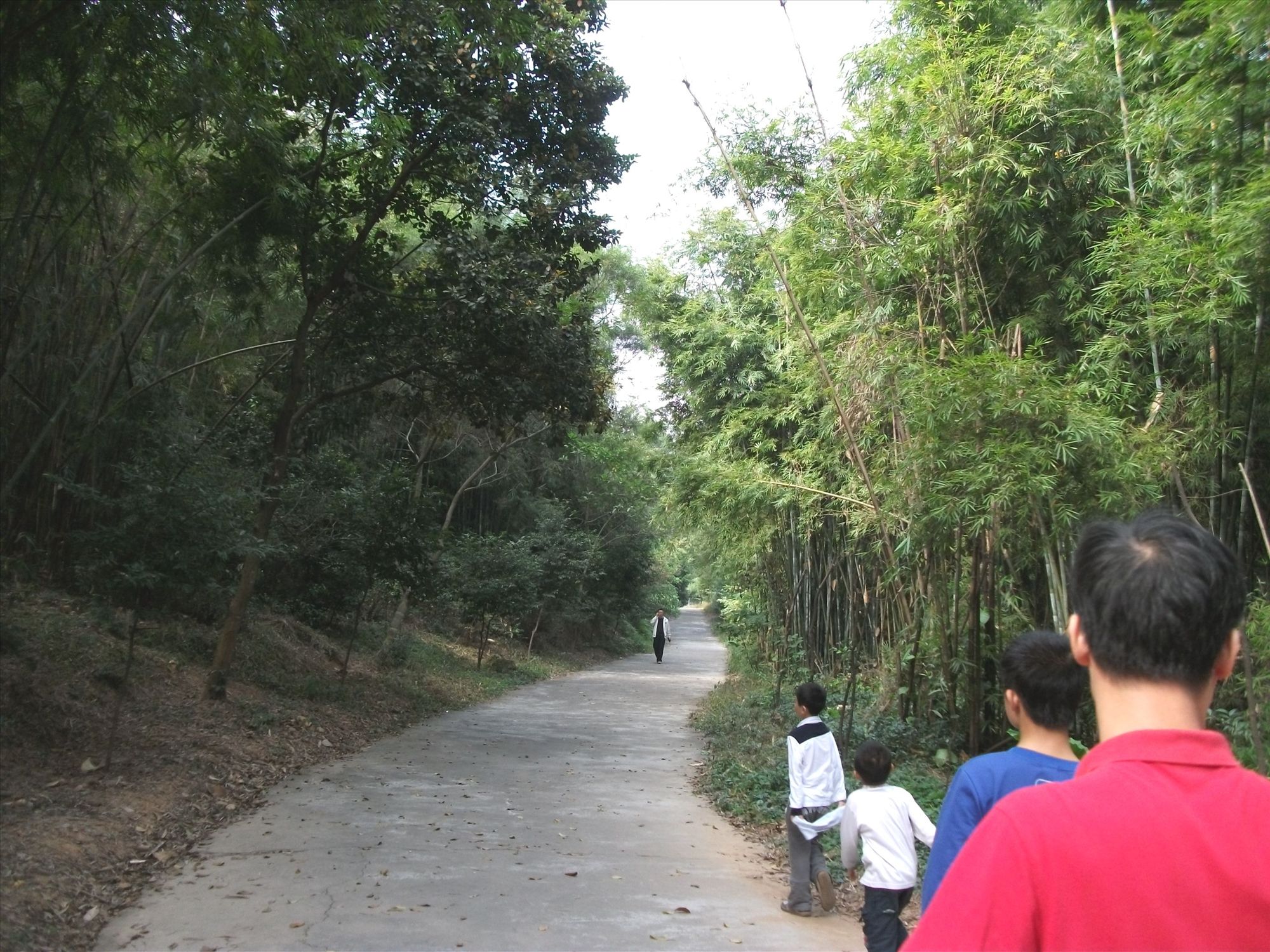 19.jpg