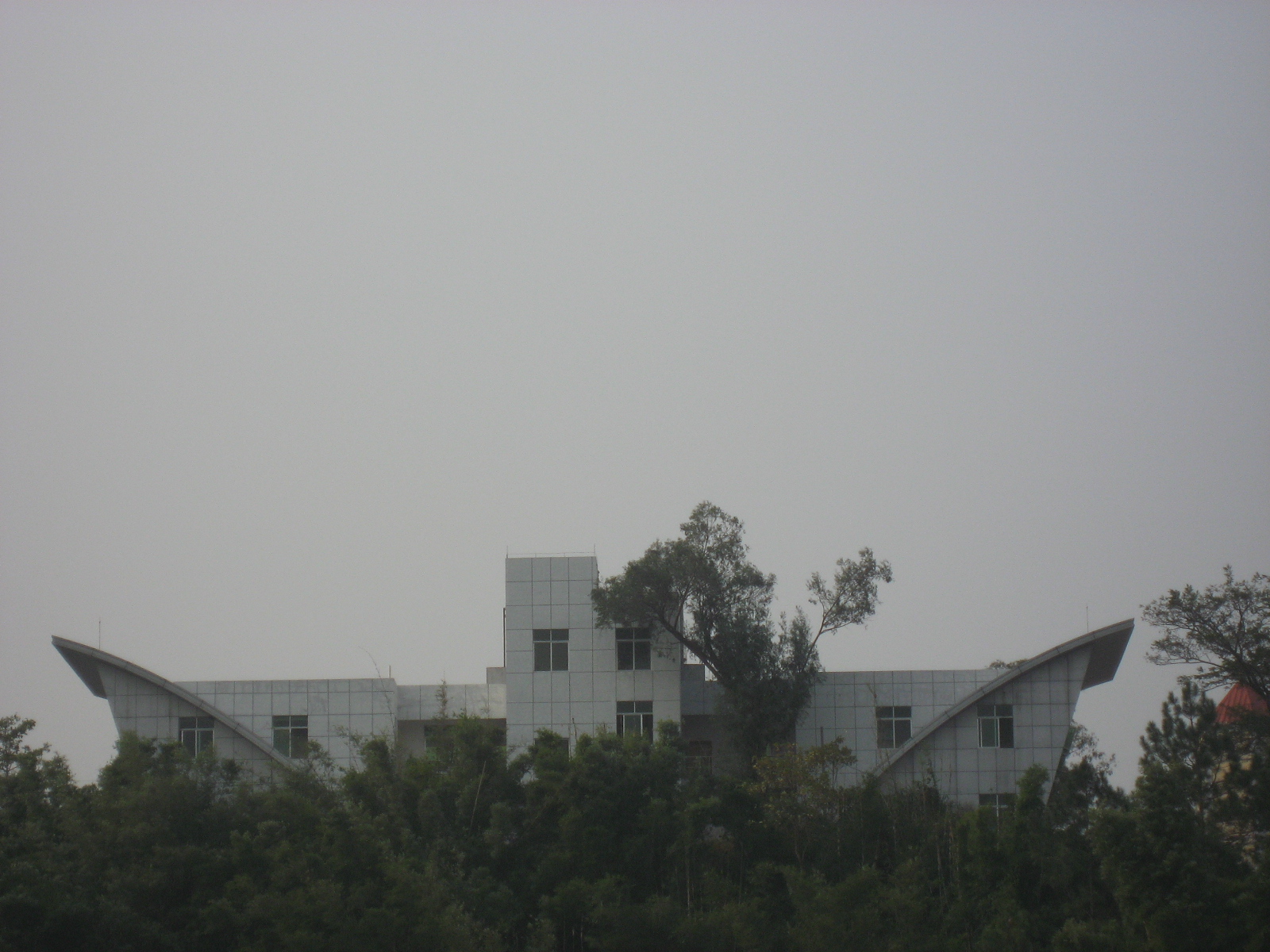IMG_6934.jpg