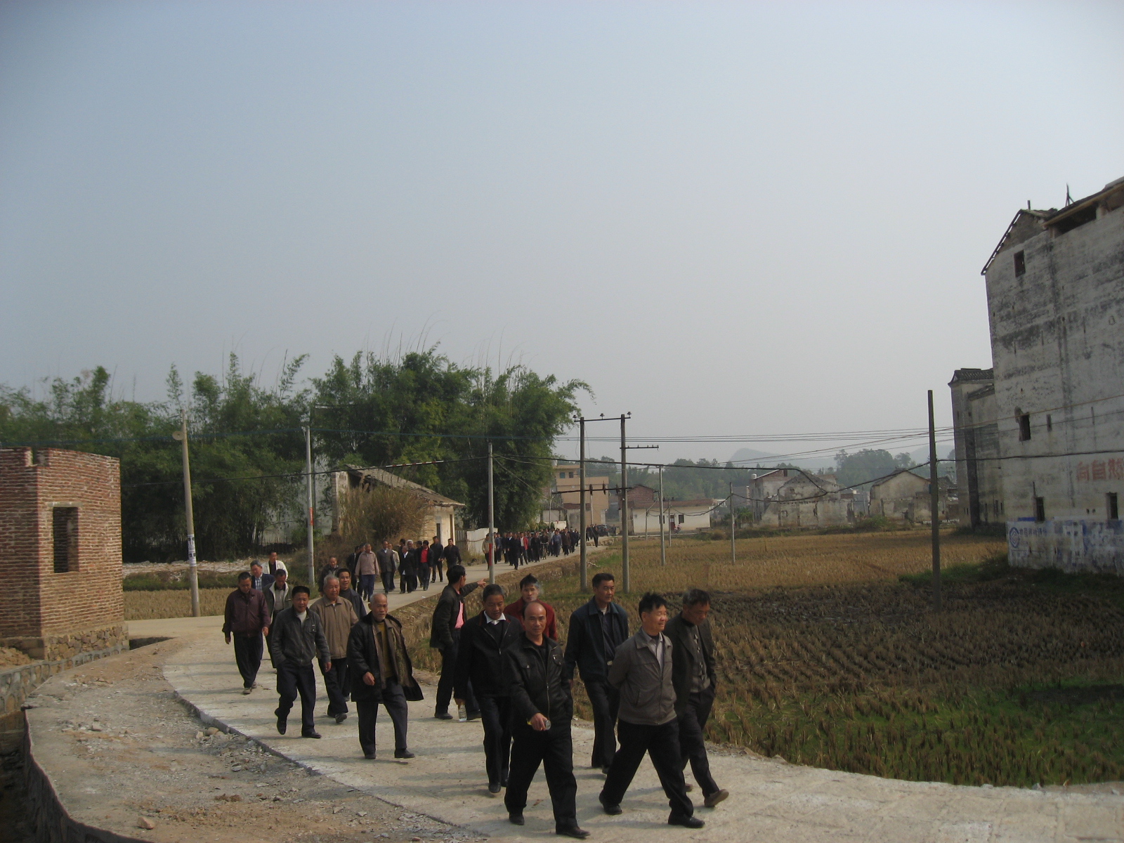 IMG_6950.jpg