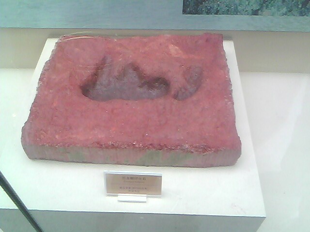 IMG0202A.jpg