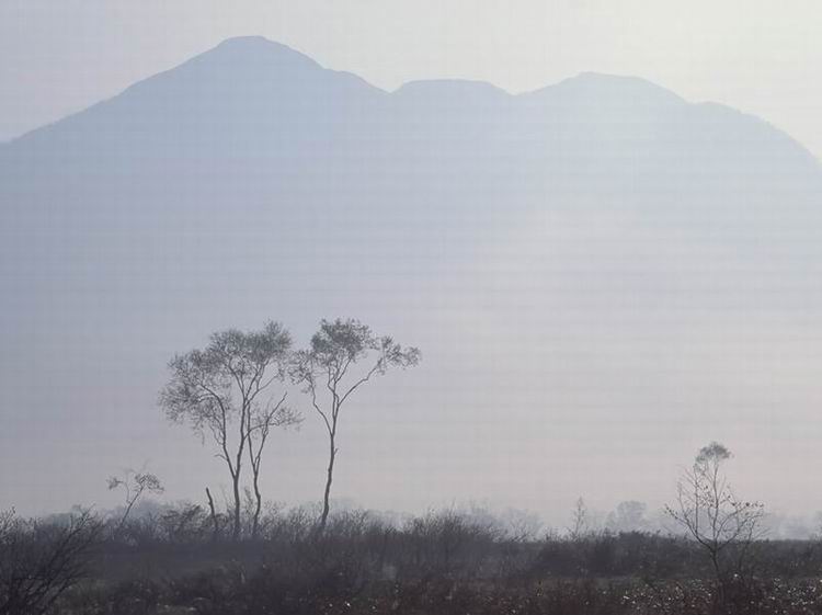27596-Mist_1017.jpg