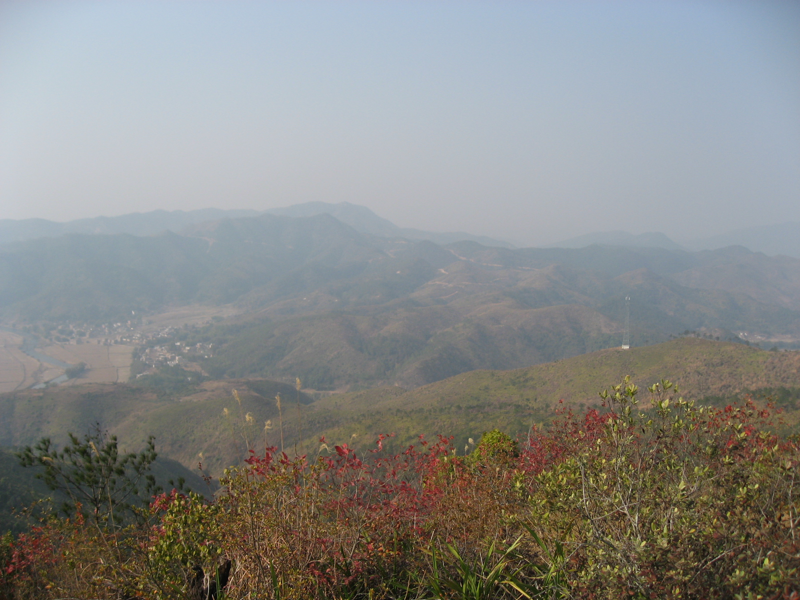 IMG_8025.jpg