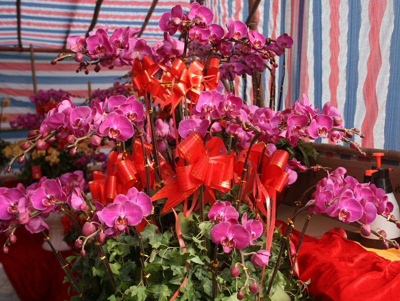 20110128 020.jpg