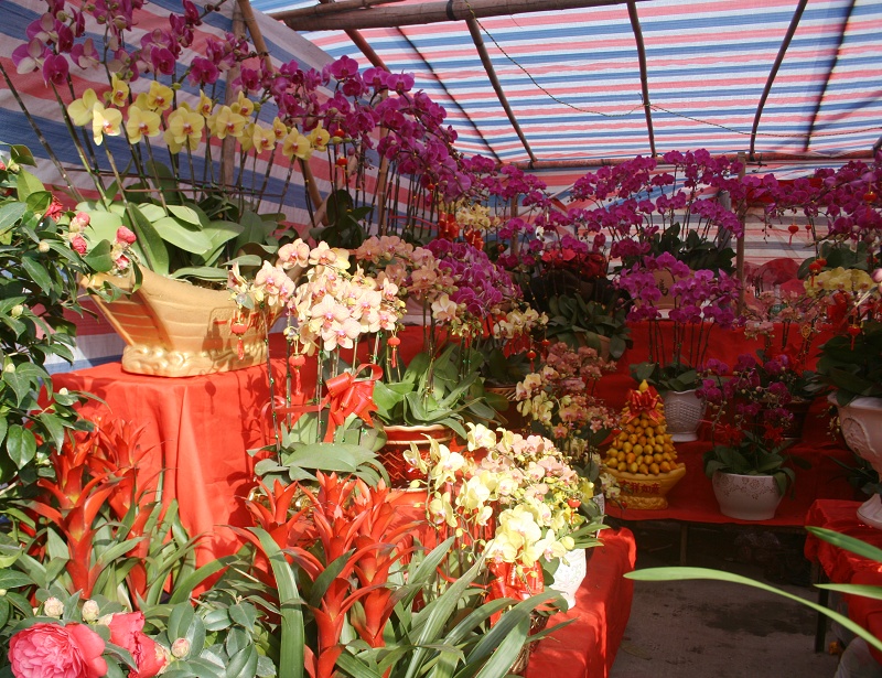 20110128 028.jpg