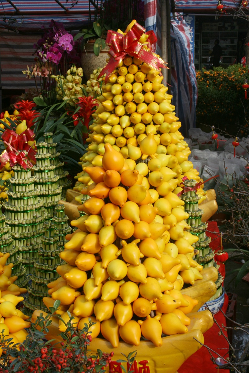 20110128 025.jpg