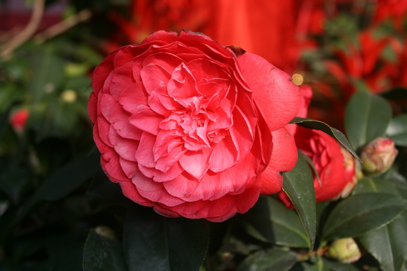 20110128 029.jpg