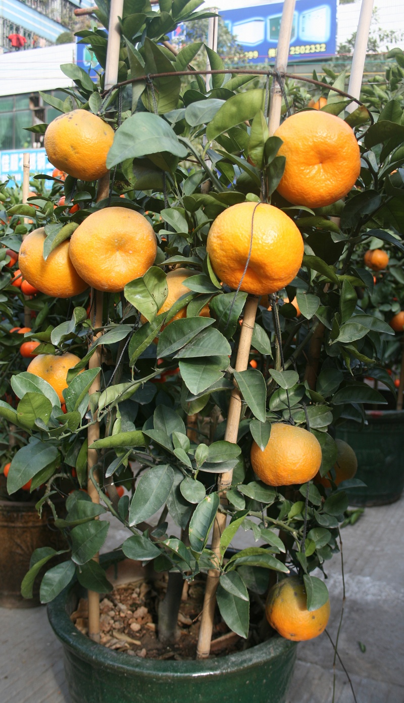 20110128 032.jpg