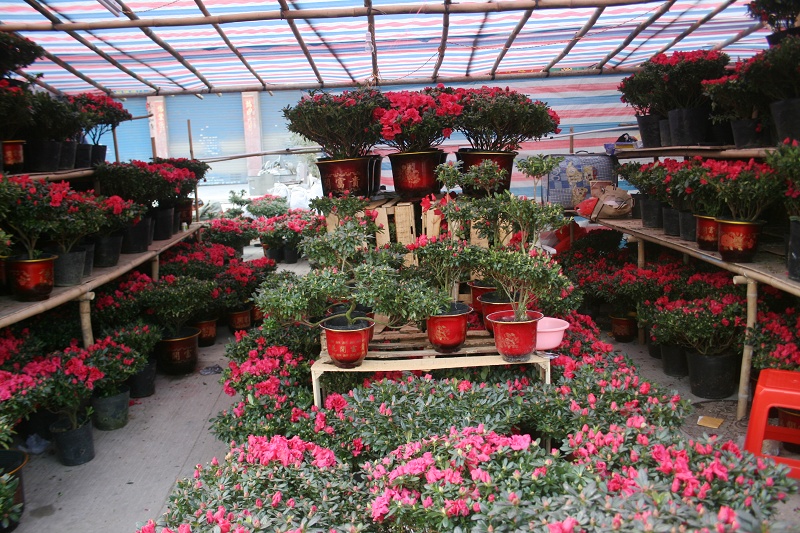 20110128 042.jpg