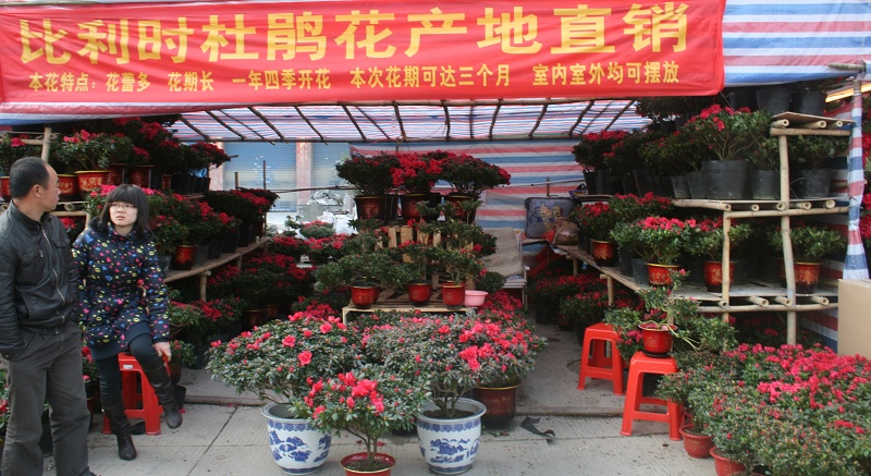 20110128 040.jpg