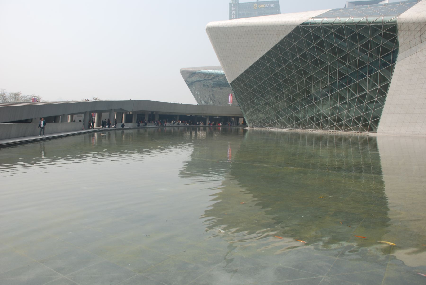 2011026.JPG