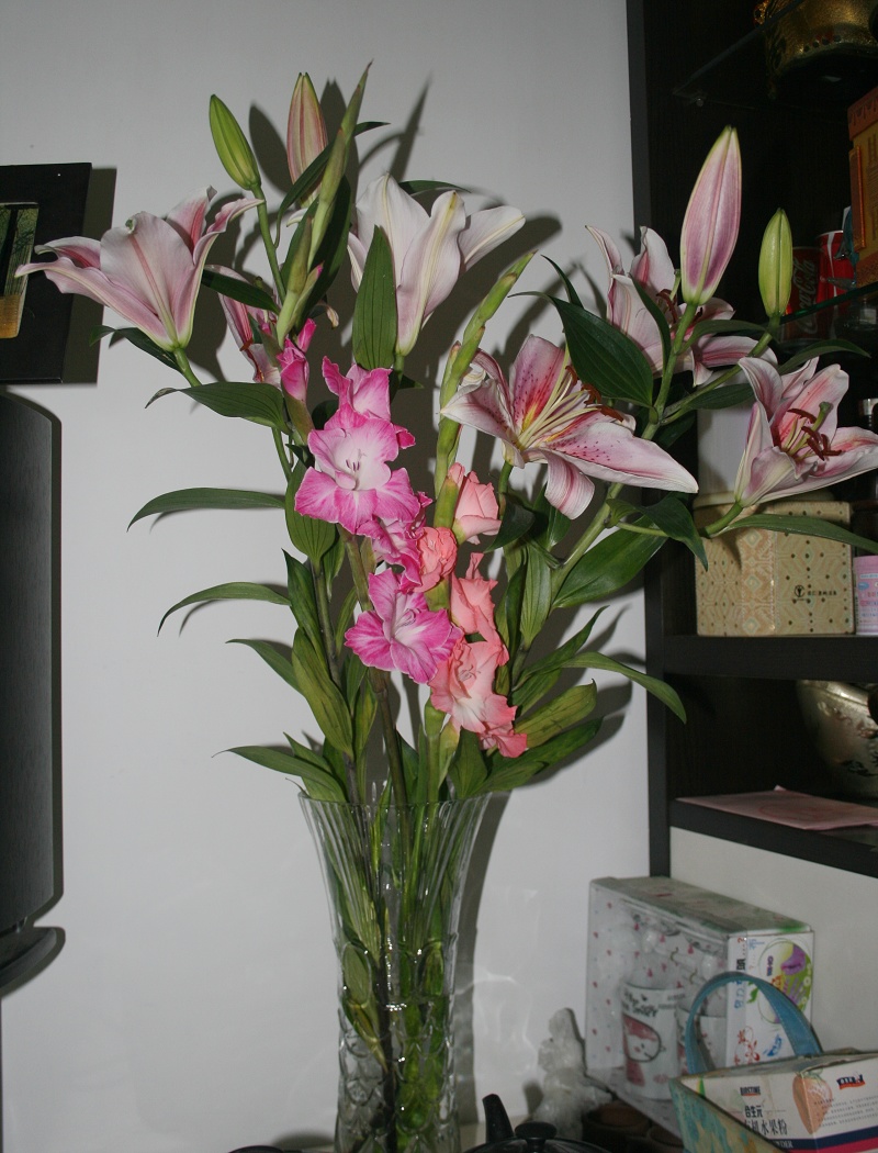 2011PP 226.jpg