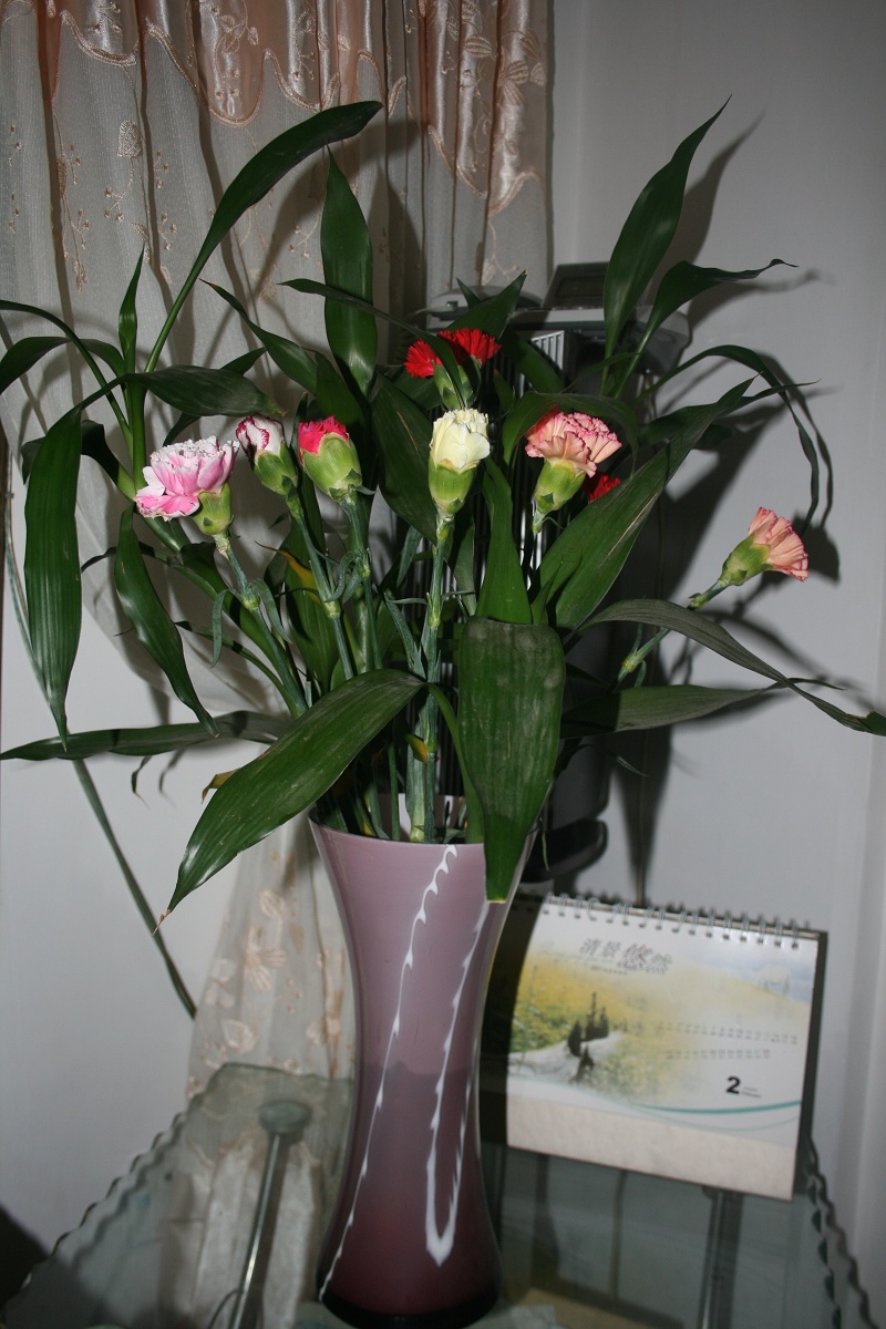 2011PP 229.jpg