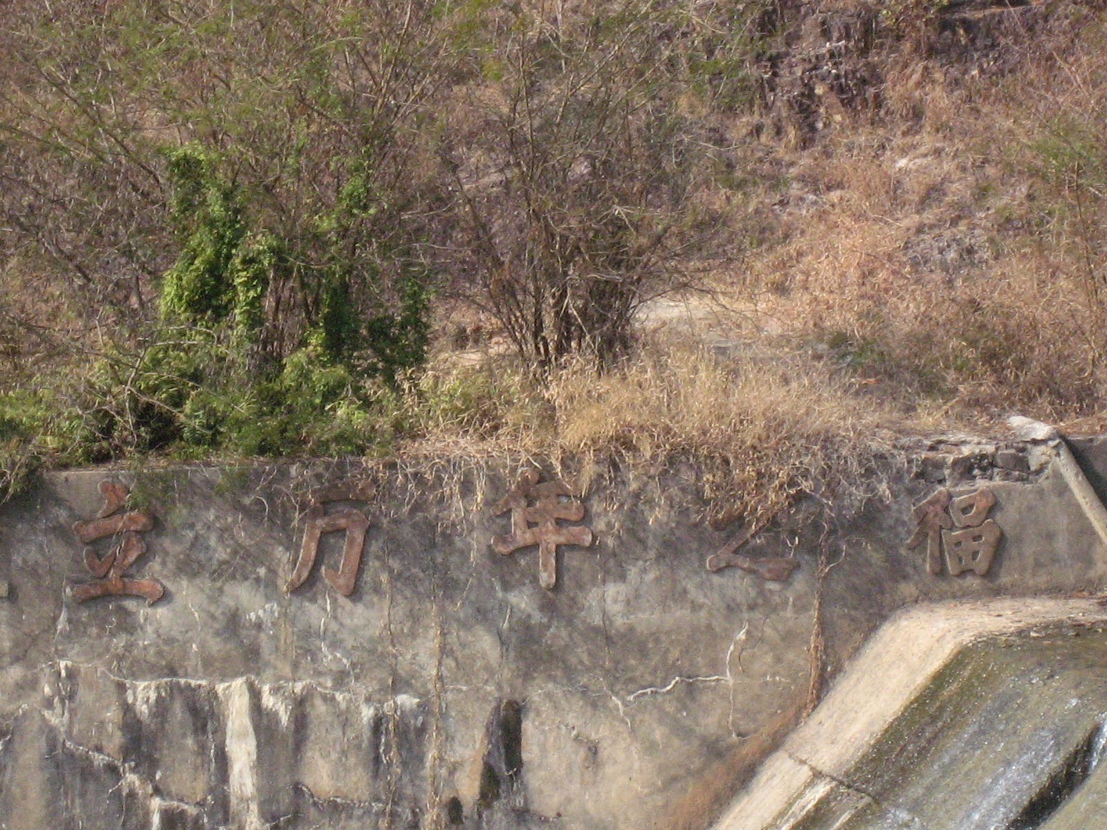 IMG_8901.jpg