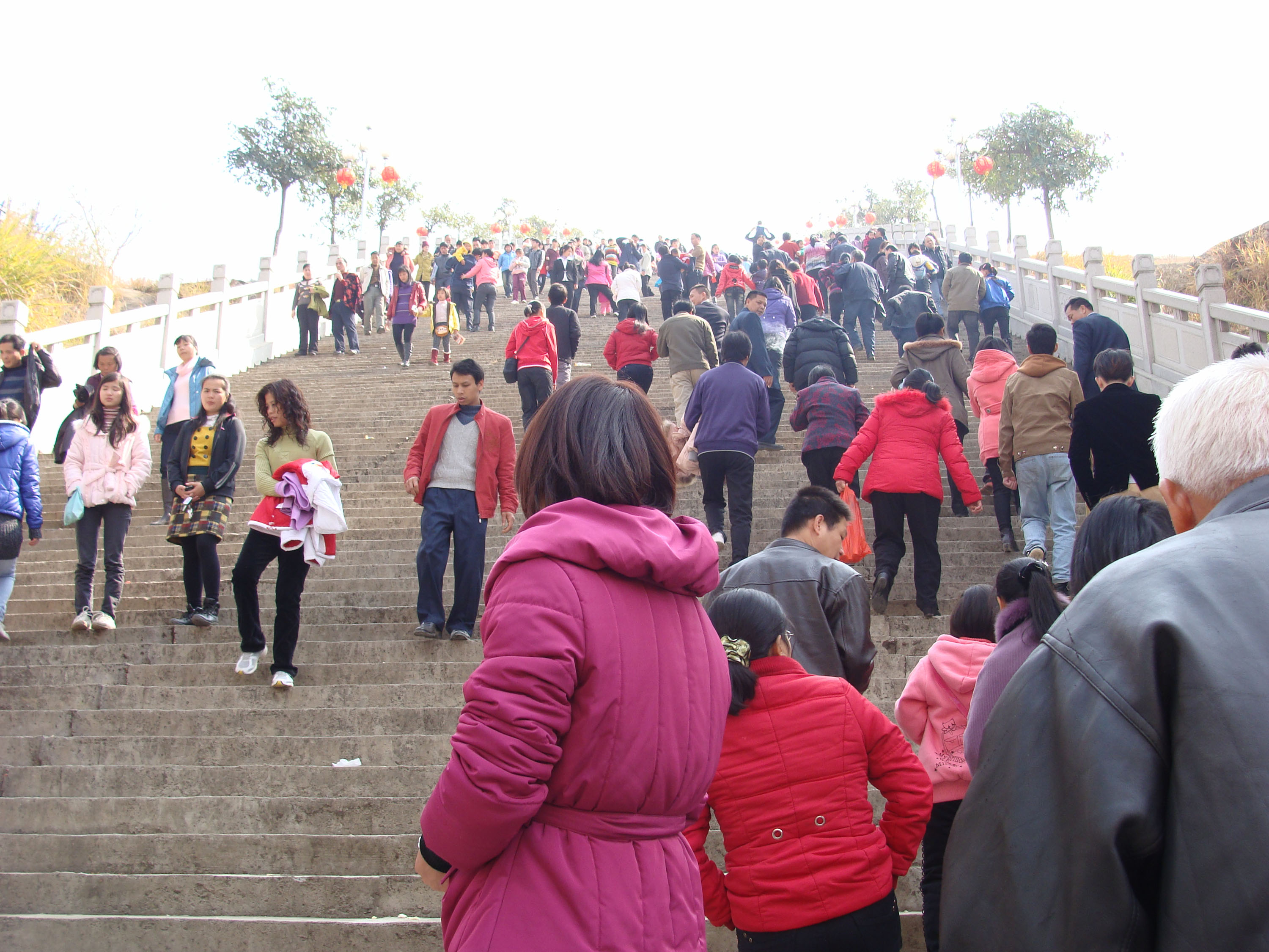 DSC08772.JPG
