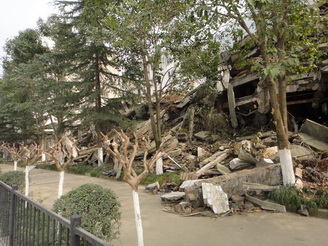 DSC02355.JPG