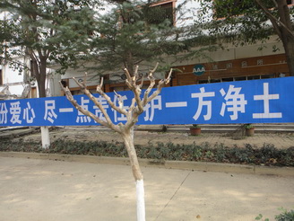 DSC02362.JPG