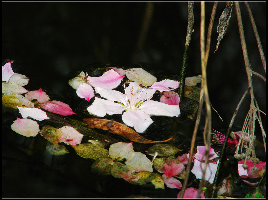 Ƭ 052.jpg