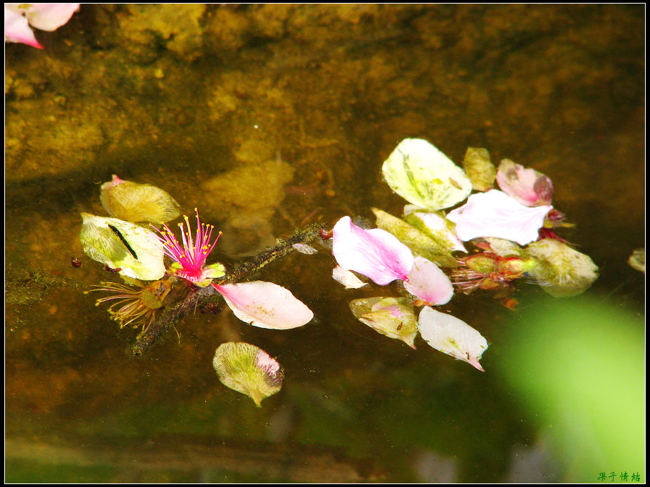 Ƭ 056.jpg