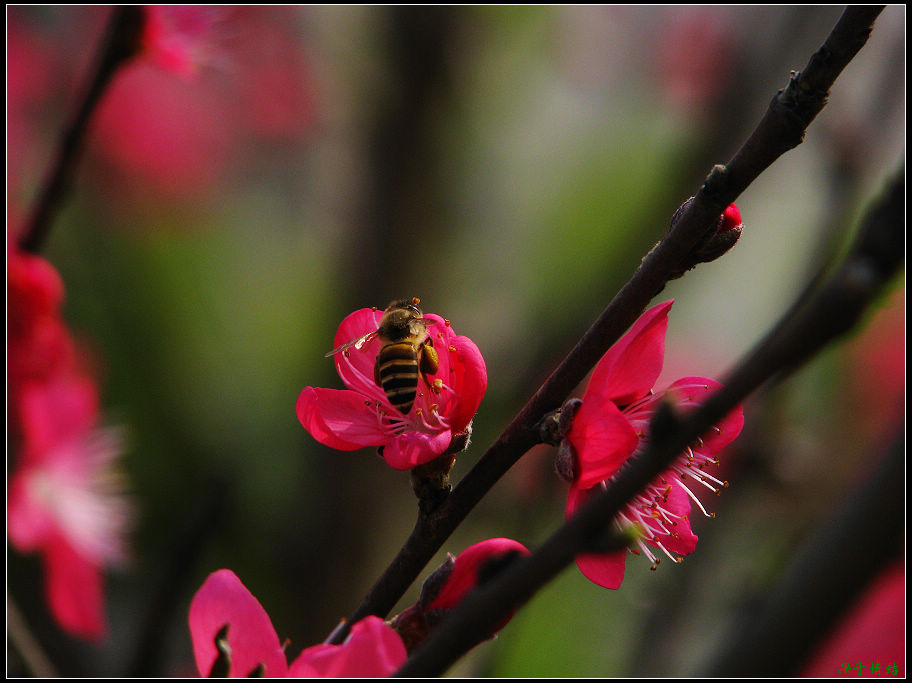 Ƭ 008.jpg