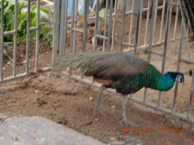 ȸ07.JPG