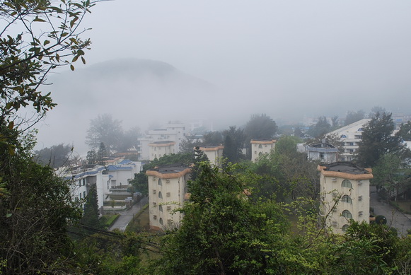DSC_0046.jpg