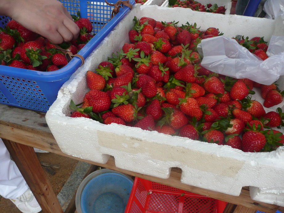 P1020074.JPG