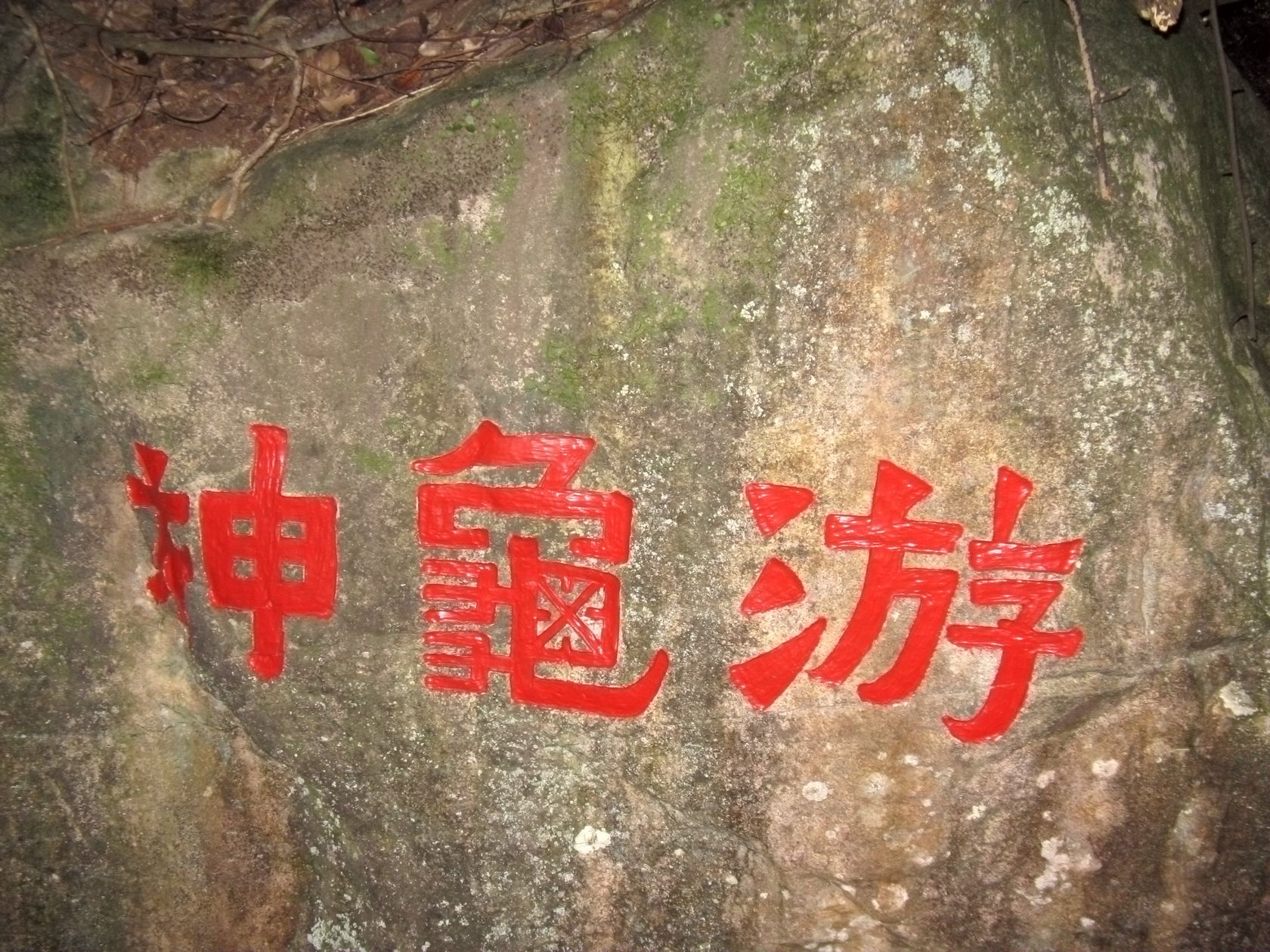 IMG_5008.jpg